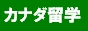 Art海外語学留学センター カナダトロント専門校